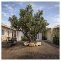 Architecture Shaped Around A Living Core